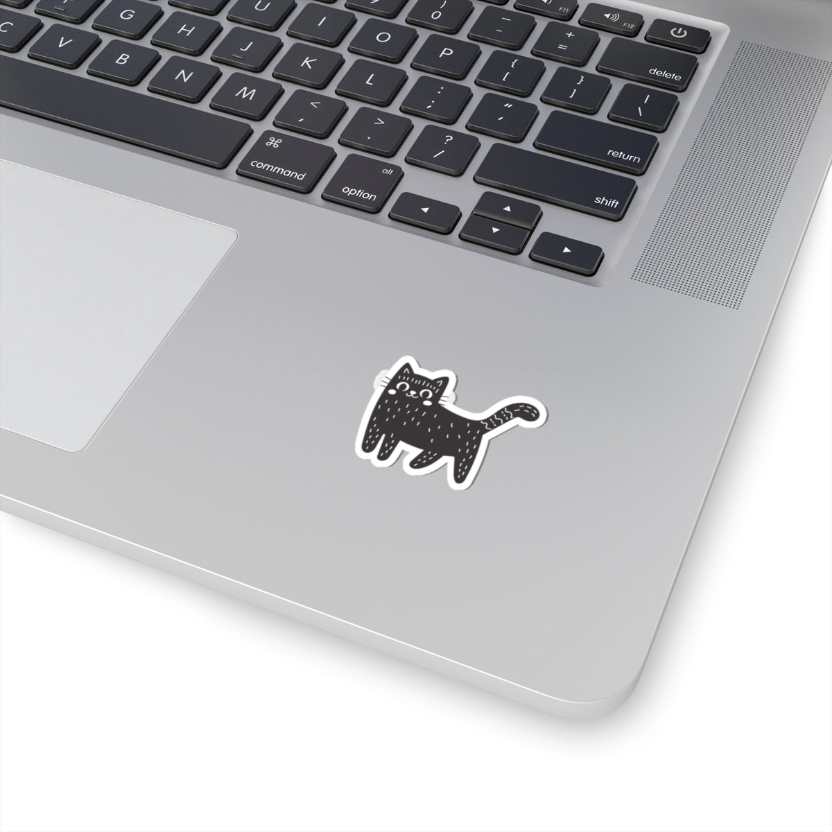 Cat 2