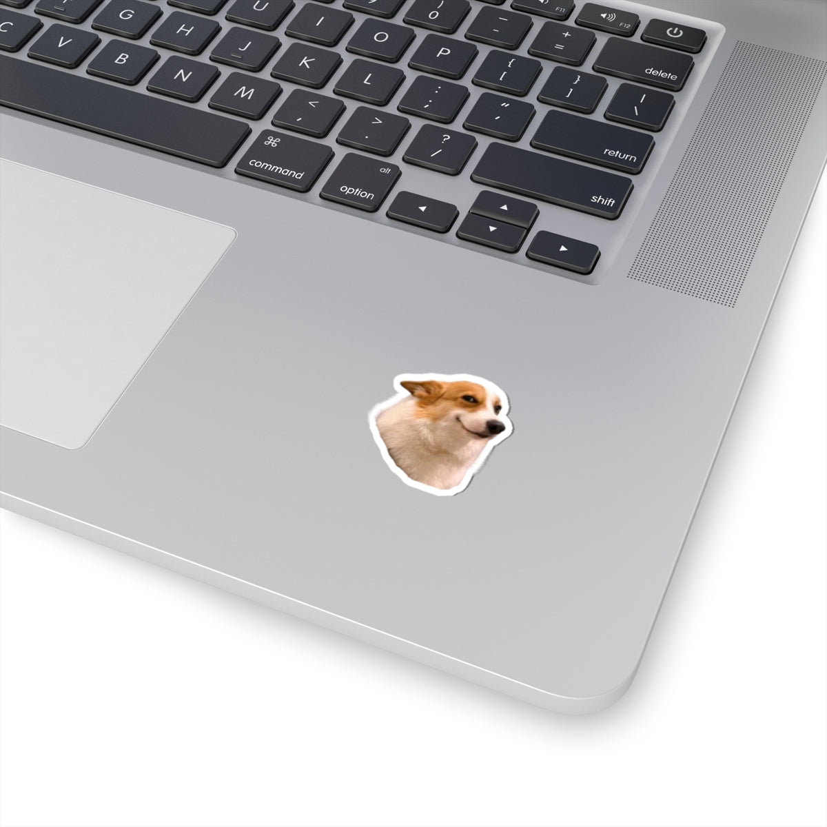 Corgi