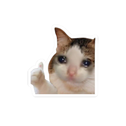 Cry Cat